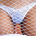 Caught in a Net - image 