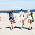 3 girl pornstars group sex orgy - image 